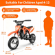 HillMiles MileRocket 1 Elektromotorrad