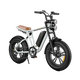 Bici elettrica in stile motociclistico M20