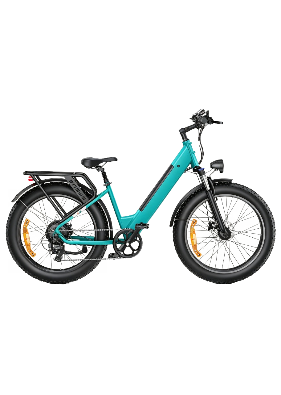 Bici elettrica elettrica E26