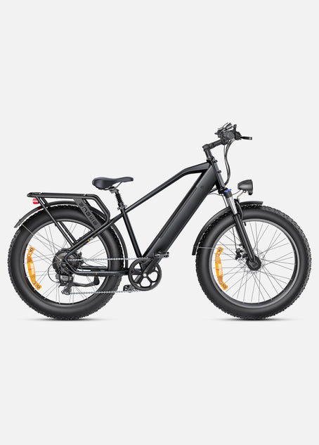 Bici elettrica elettrica E26