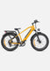 Bici elettrica elettrica E26