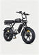M1 Motorcycle-styled Electric Bike