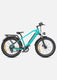 Bici elettrica elettrica E26